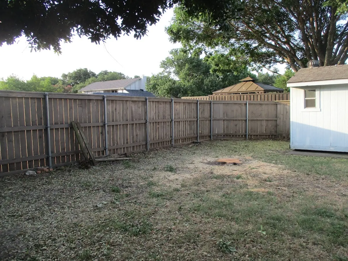 Cleared yard after professional tree removal in Blooming Prairie