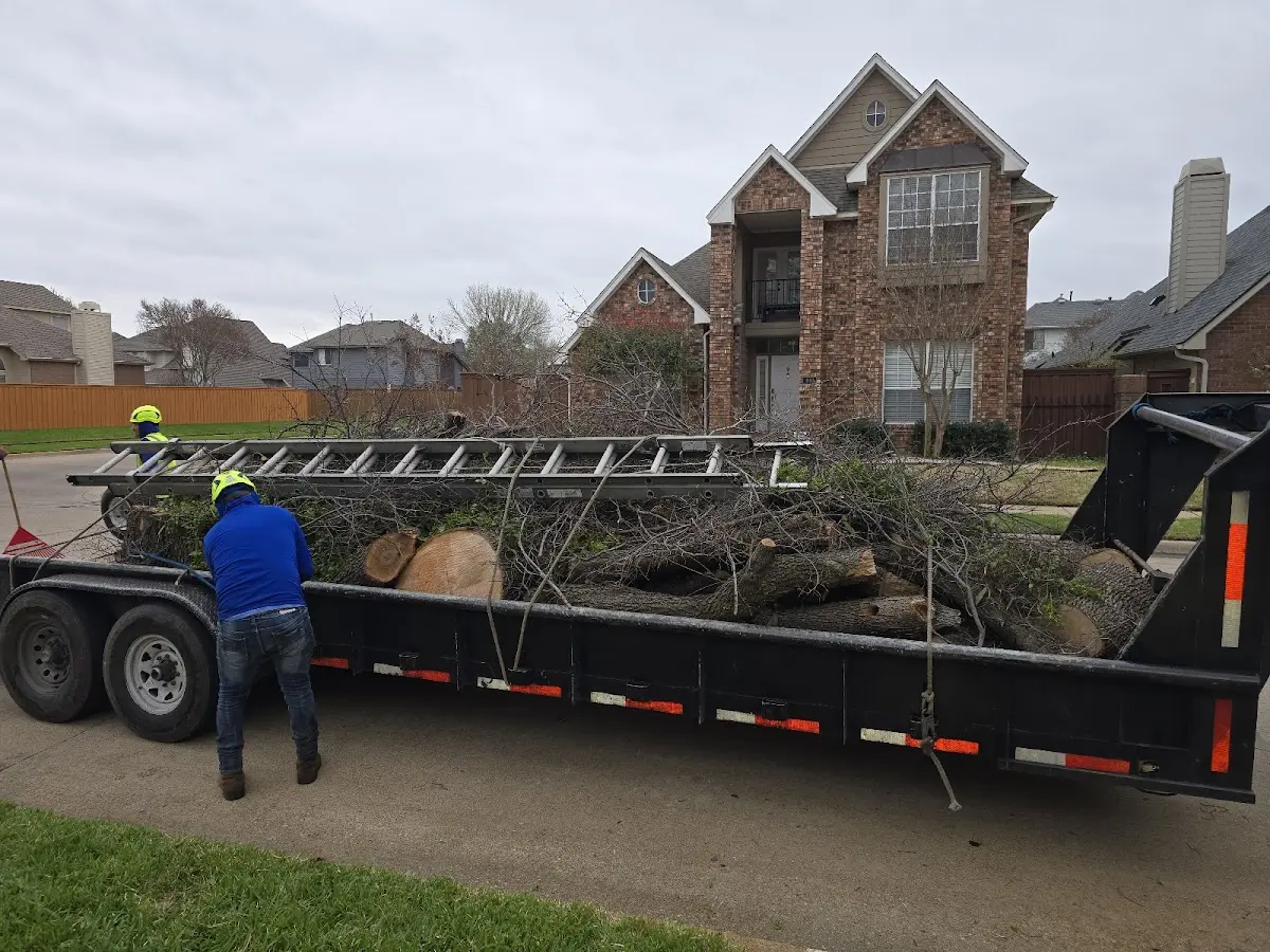 Expert Tree Fertilization with proper safety equipment in Blooming Prairie
